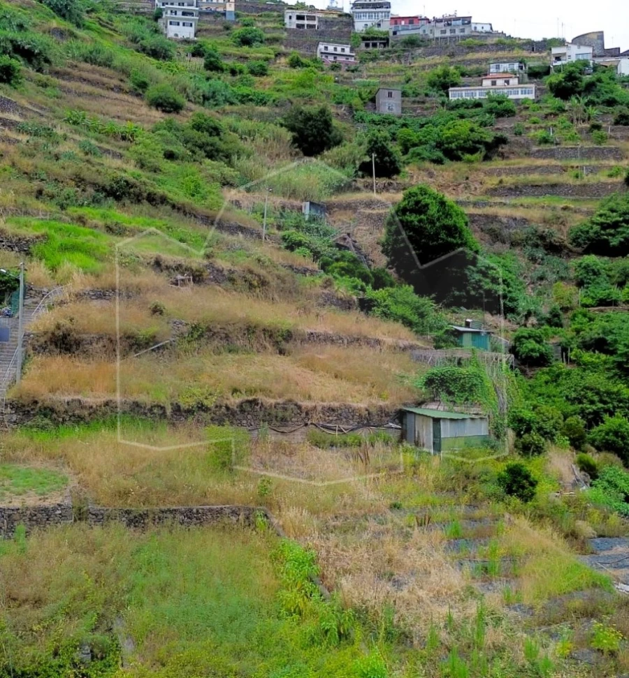 Terreno para Venda em Camara de Lobos Foto 5