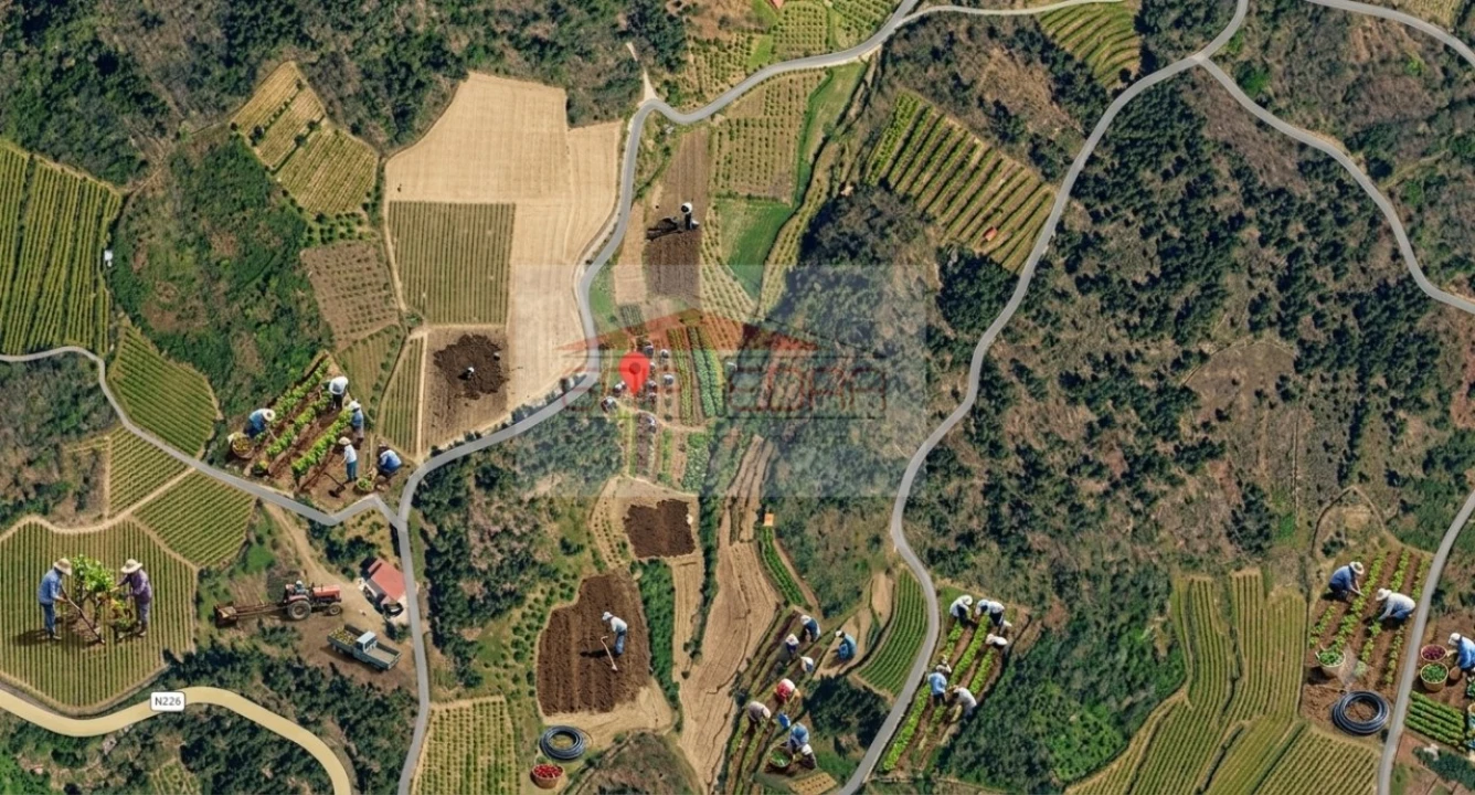 Terreno Agricola ou Rústico para Venda em Granja Nova e Vila Chã da Beira Foto 3