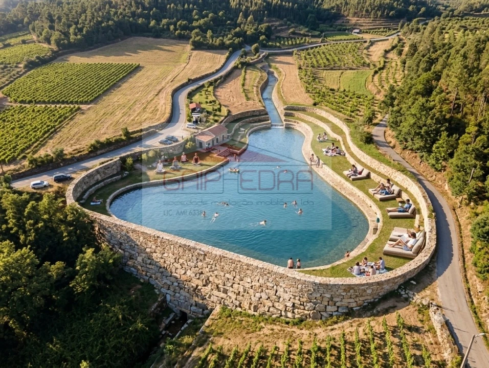 Terreno Agricola ou Rústico para Venda em Granja Nova e Vila Chã da Beira Foto 4