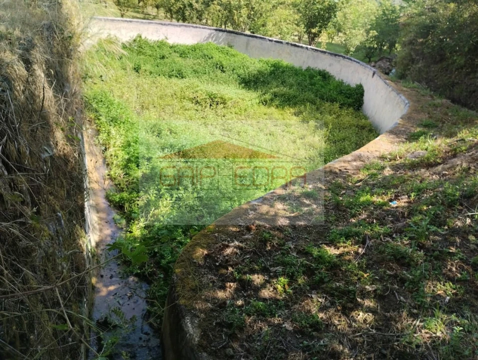 Terreno Agricola ou Rústico para Venda em Granja Nova e Vila Chã da Beira Foto 6