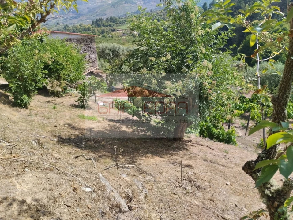 Terreno Agricola ou Rústico para Venda em Granja Nova e Vila Chã da Beira Foto 11