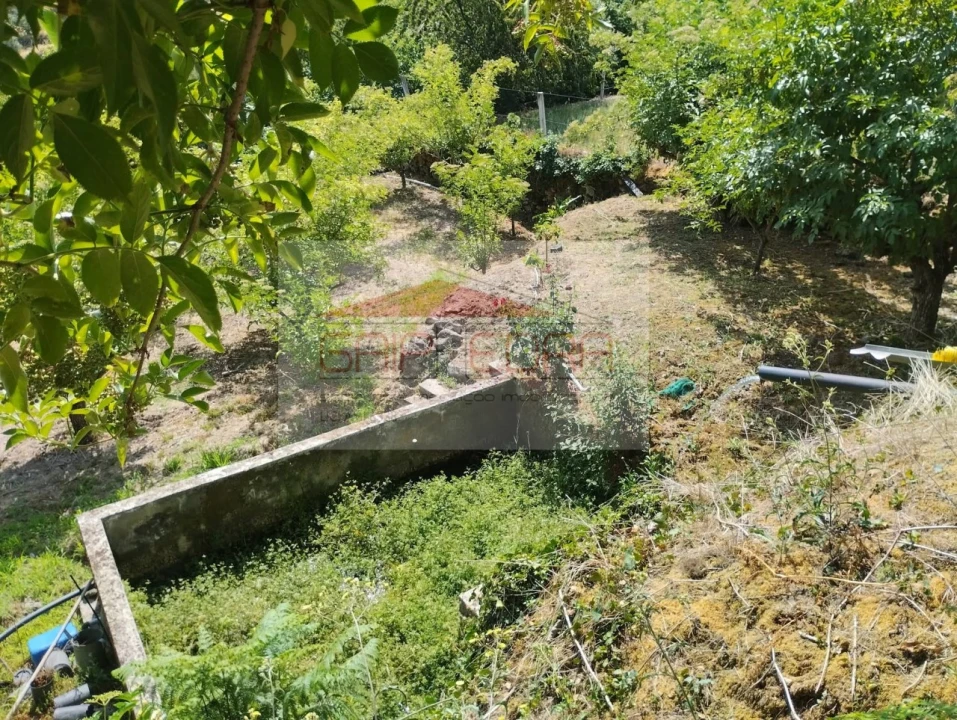 Terreno Agricola ou Rústico para Venda em Granja Nova e Vila Chã da Beira Foto 13
