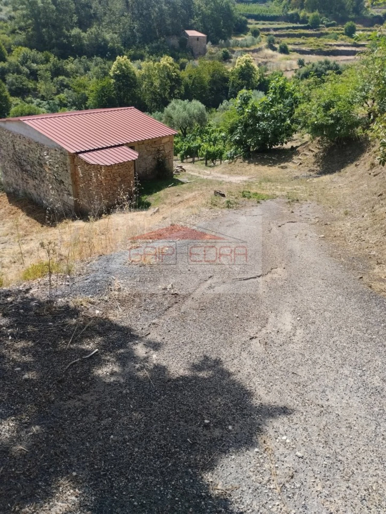 Terreno Agricola ou Rústico para Venda em Granja Nova e Vila Chã da Beira Foto 16