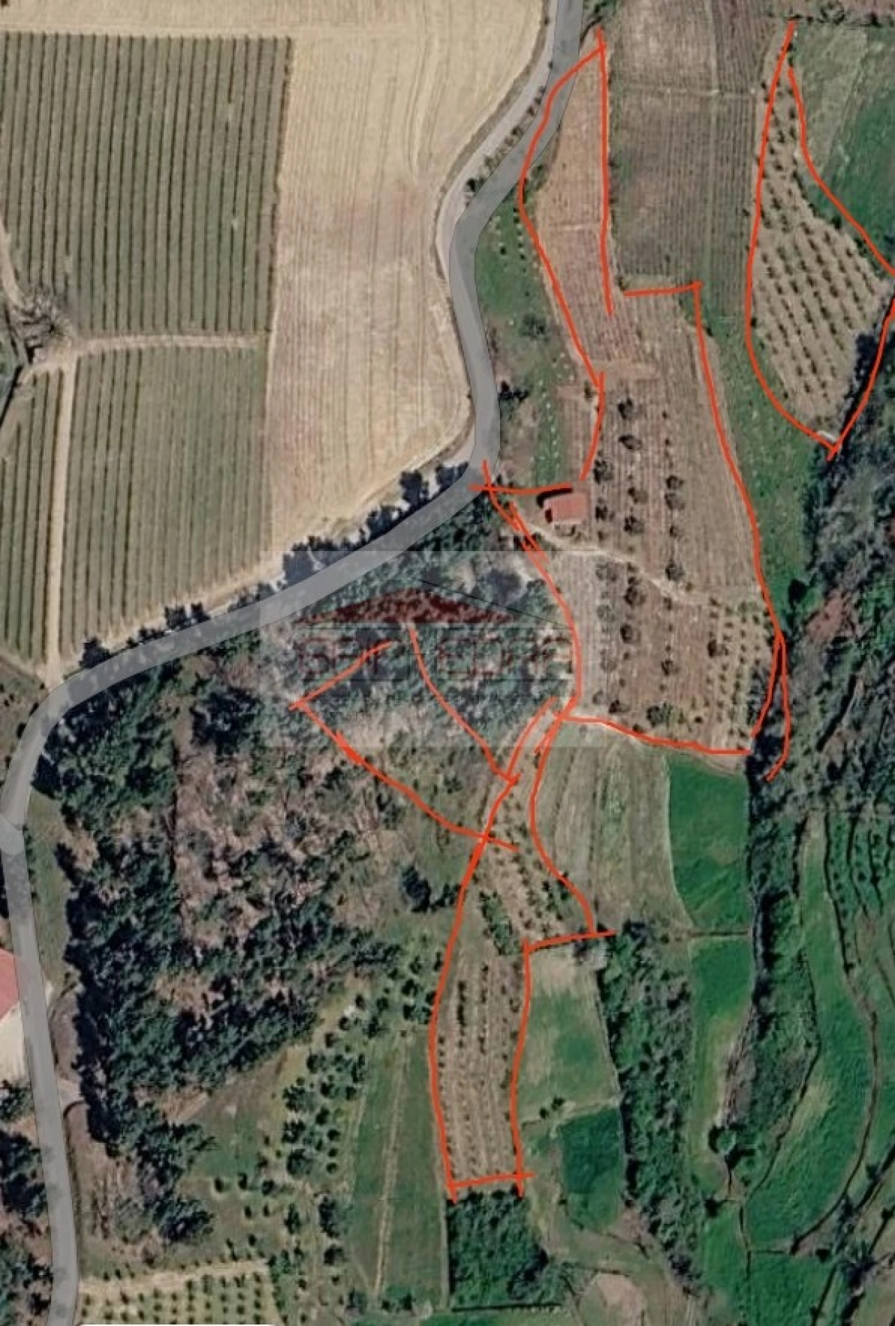 Terreno Agricola ou Rústico para Venda em Granja Nova e Vila Chã da Beira Foto 18