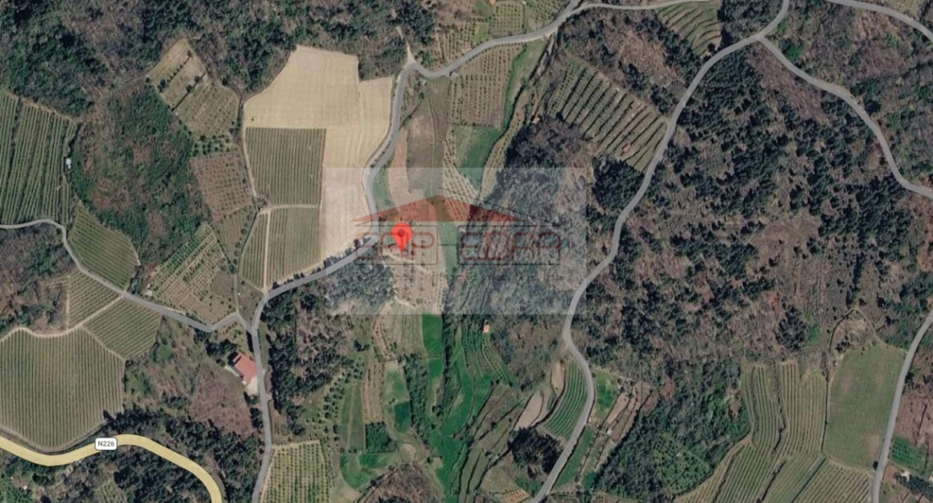 Terreno Agricola ou Rústico para Venda em Granja Nova e Vila Chã da Beira Foto 19
