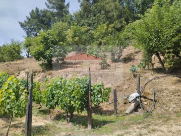 Terreno Agricola ou Rústico para Venda em Granja Nova e Vila Chã da Beira