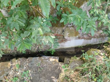 Terreno Agricola ou Rústico para Venda em Granja Nova e Vila Chã da Beira