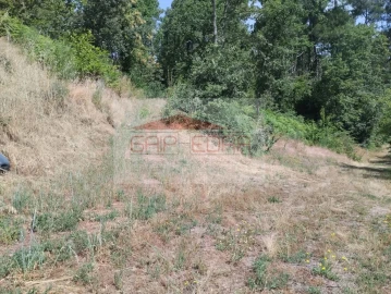 Terreno Agricola ou Rústico para Venda em Granja Nova e Vila Chã da Beira