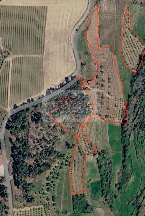 Terreno Agricola ou Rústico para Venda em Granja Nova e Vila Chã da Beira