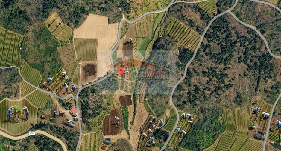 Terreno Agricola ou Rústico para Venda em Granja Nova e Vila Chã da Beira Foto 3