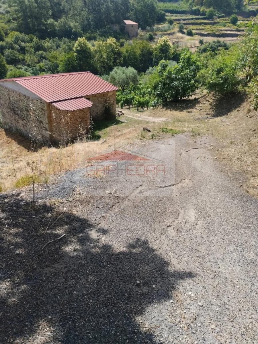 Terreno Agricola ou Rústico para Venda em Granja Nova e Vila Chã da Beira Foto 16