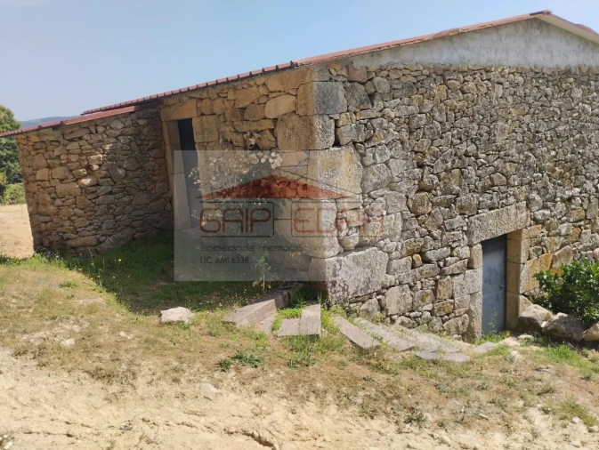 Terreno Agricola ou Rústico para Venda em Granja Nova e Vila Chã da Beira Foto 17