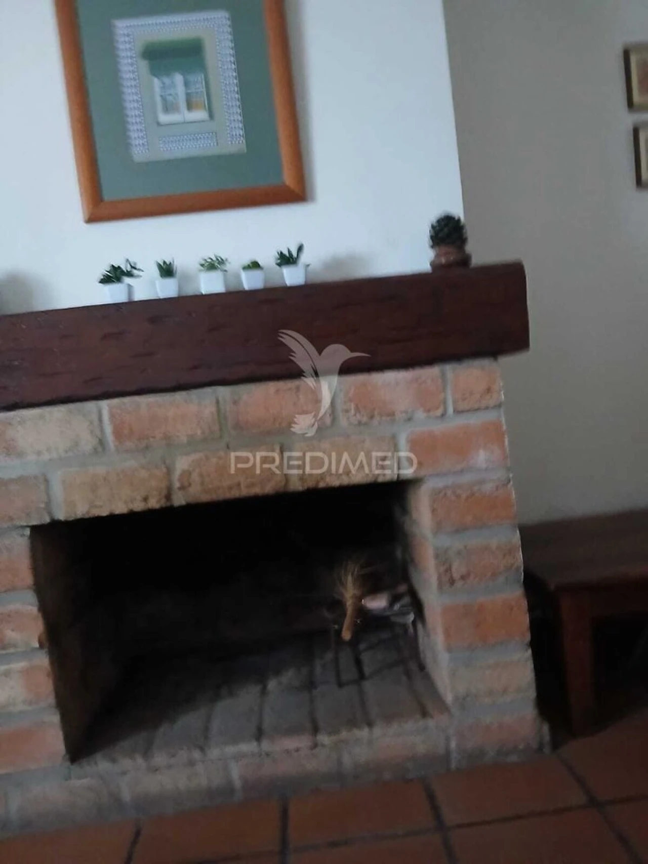 Apartamento T3 para Venda em Aljustrel e Rio de Moinhos Foto 23