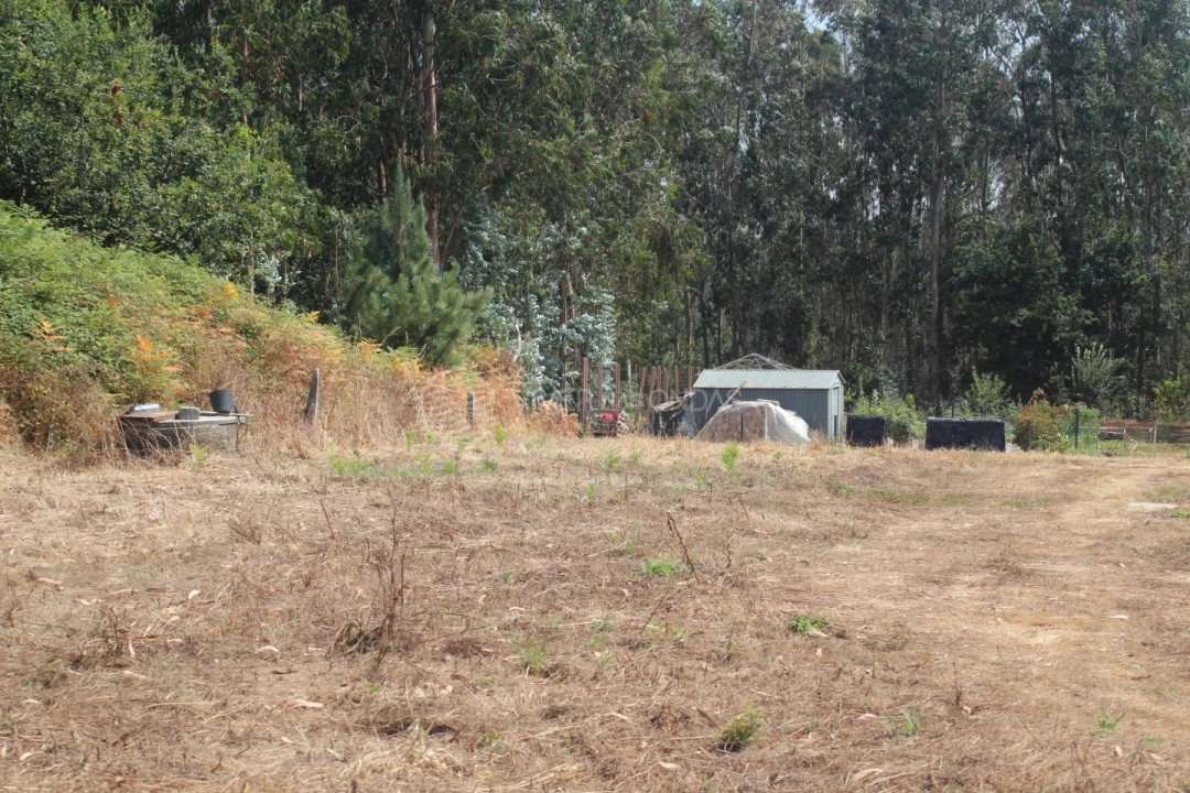 Terreno para Venda em Arvore Foto 10