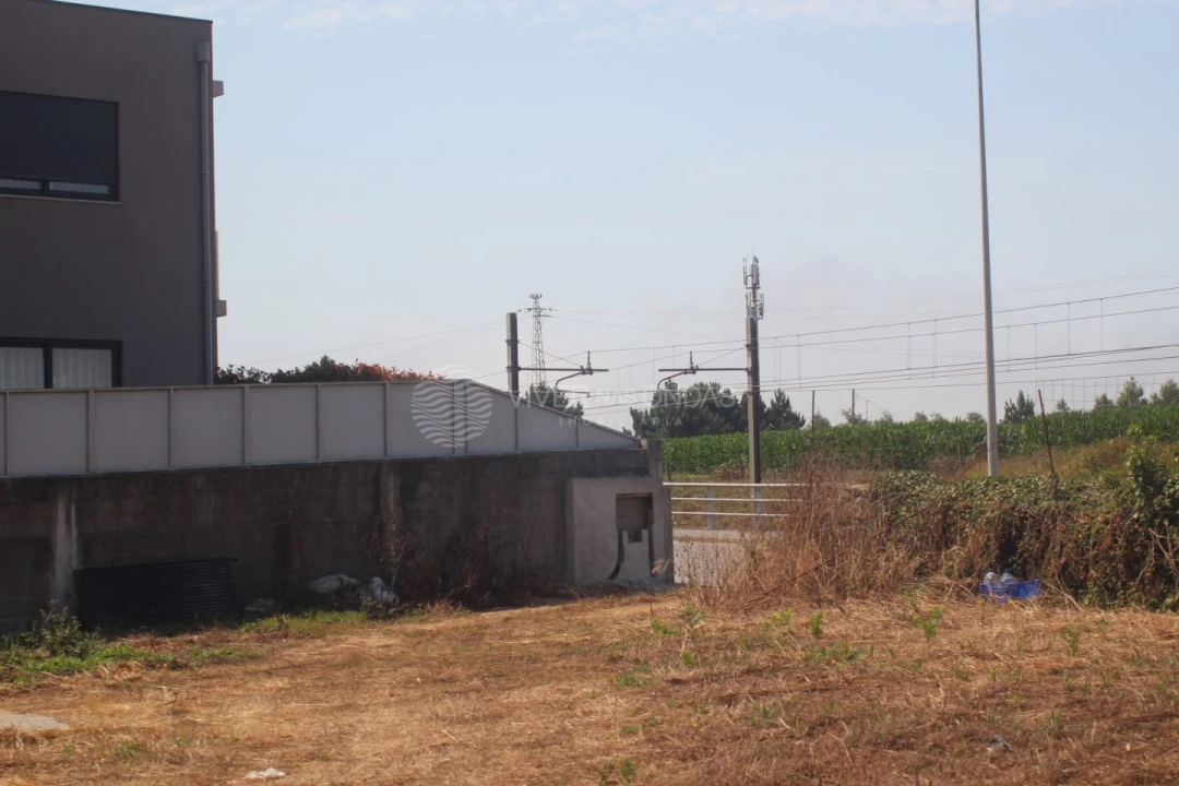 Terreno para Venda em Arvore Foto 14