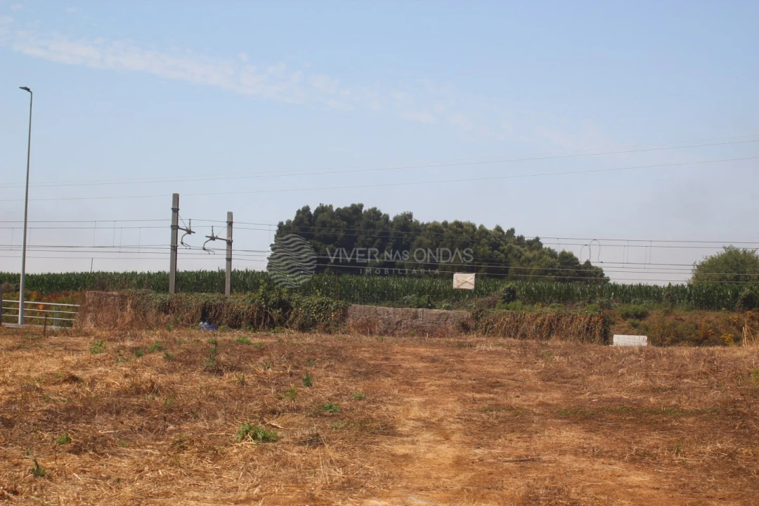 Terreno para Venda em Arvore Foto 15
