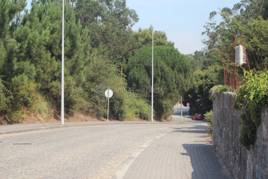 Terreno para Venda em Arvore Foto 17