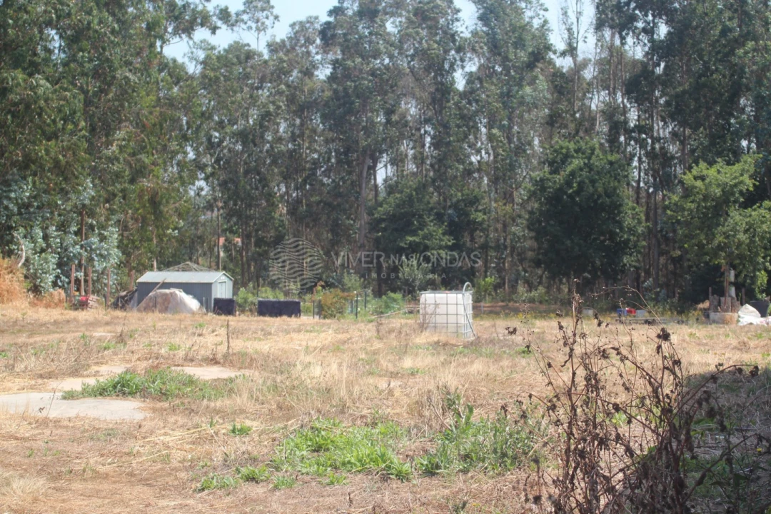 Terreno para Venda em Arvore Foto 3