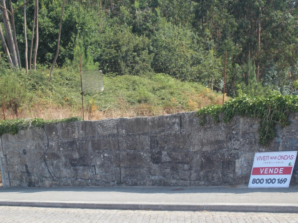 Terreno para Venda em Arvore Foto 15