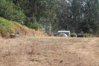 Terreno para Venda em Arvore