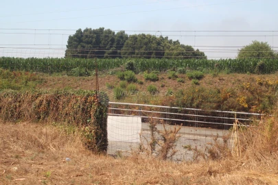Terreno para Venda em Arvore