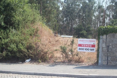 Terreno para Venda em Arvore