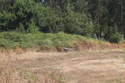 Terreno para Venda em Arvore