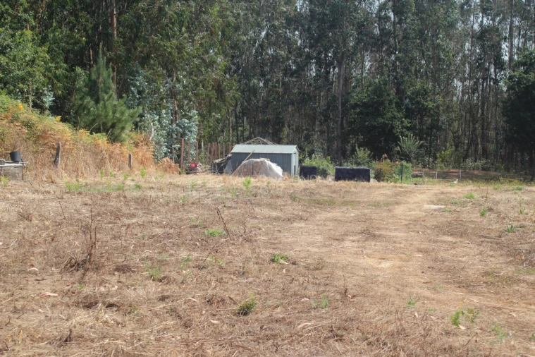 Terreno para Venda em Arvore Foto 12