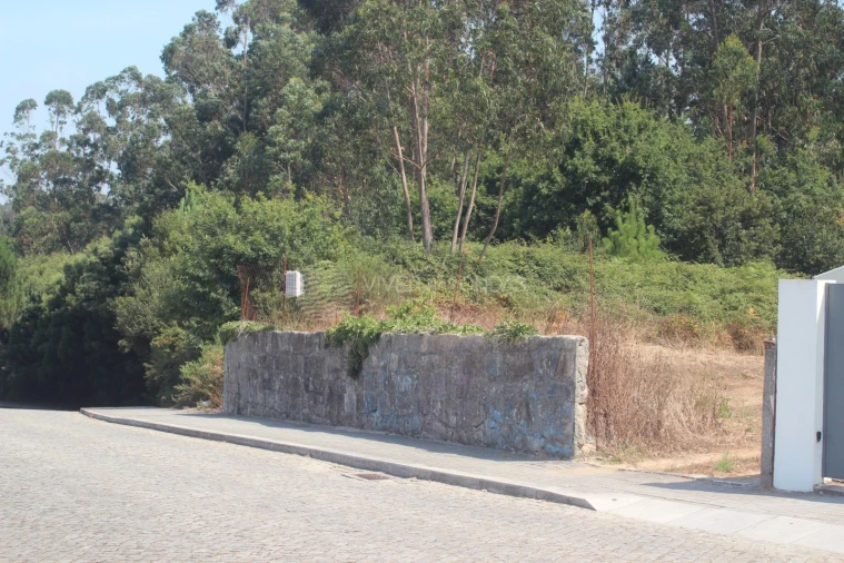 Terreno para Venda em Arvore Foto 22