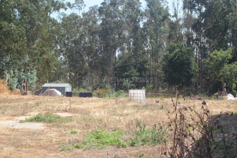 Terreno para Venda em Arvore Foto 3