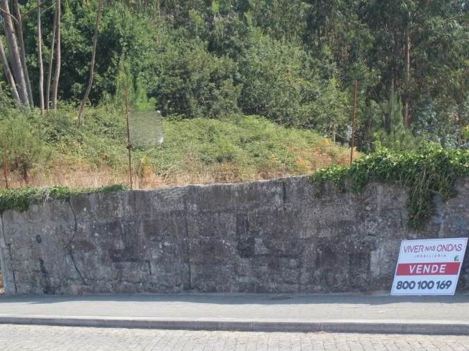 Terreno para Venda em Arvore Foto 15