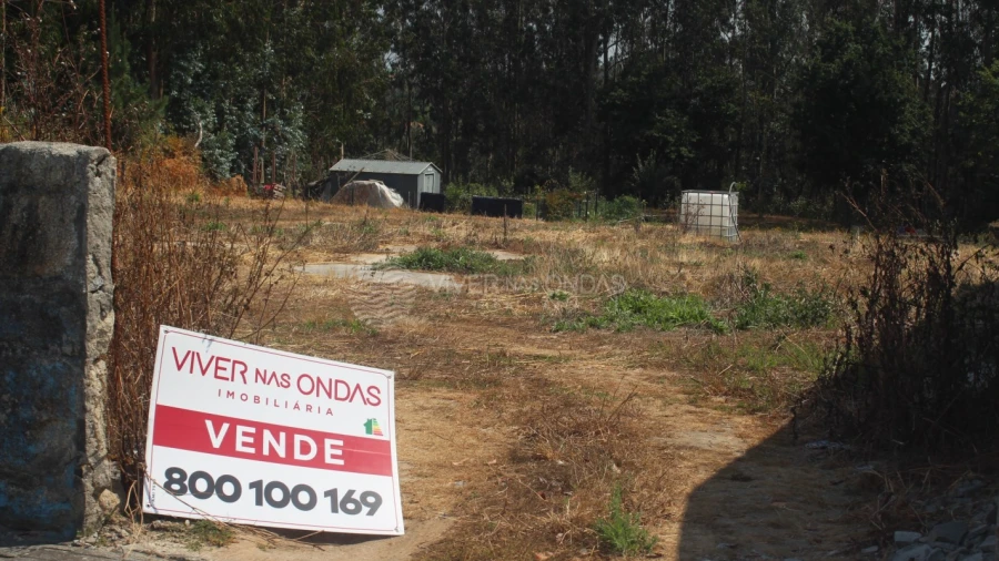 Terreno para Venda em Arvore