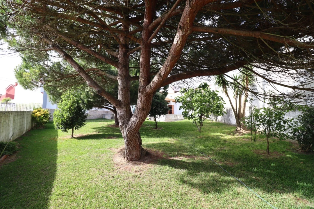 Moradia T3 para Venda em Santa Barbara Foto 50