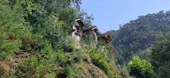 Quinta T1 para Venda em Parada do Bouro