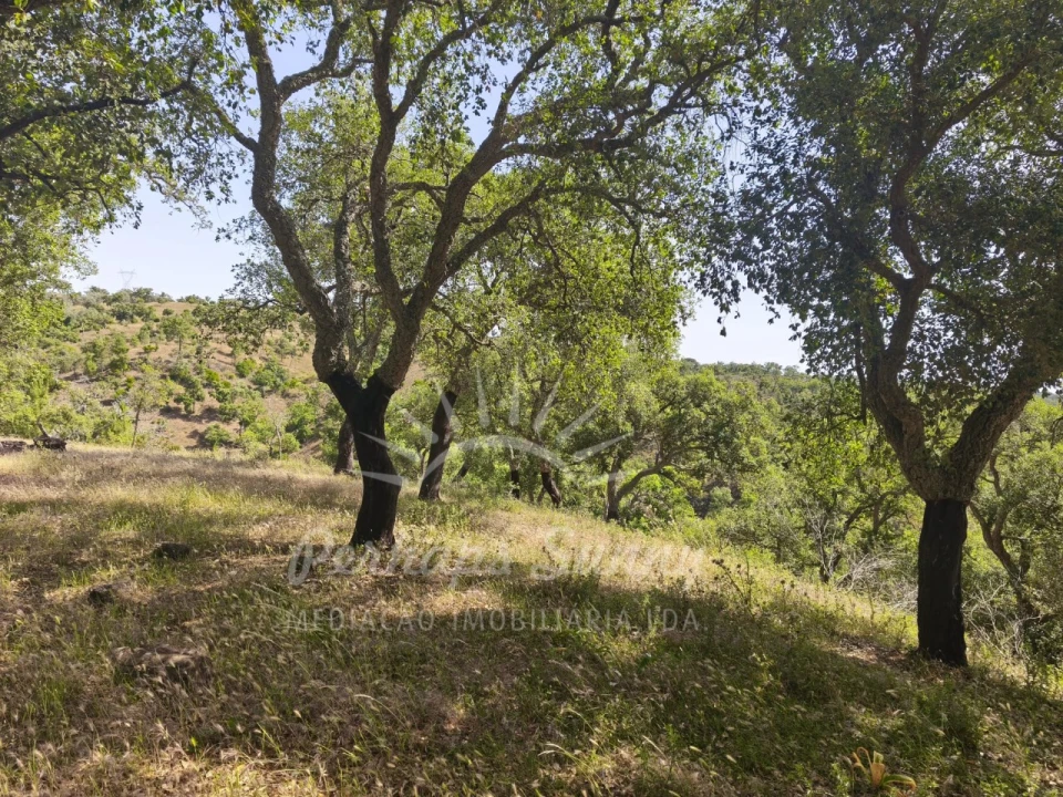 Terreno Misto para Venda em São Francisco da Serra Foto 3