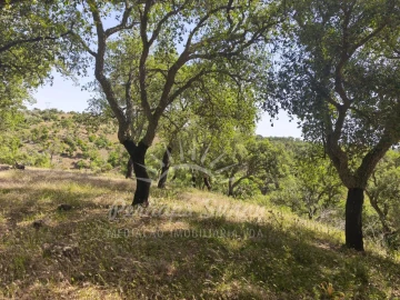 Terreno Misto para Venda em São Francisco da Serra