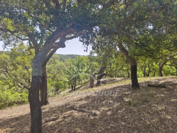 Terreno Misto para Venda em São Francisco da Serra