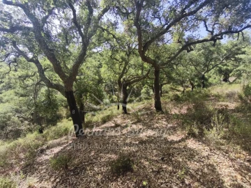 Terreno Misto para Venda em São Francisco da Serra