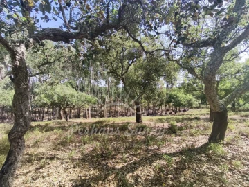 Terreno Misto para Venda em São Francisco da Serra