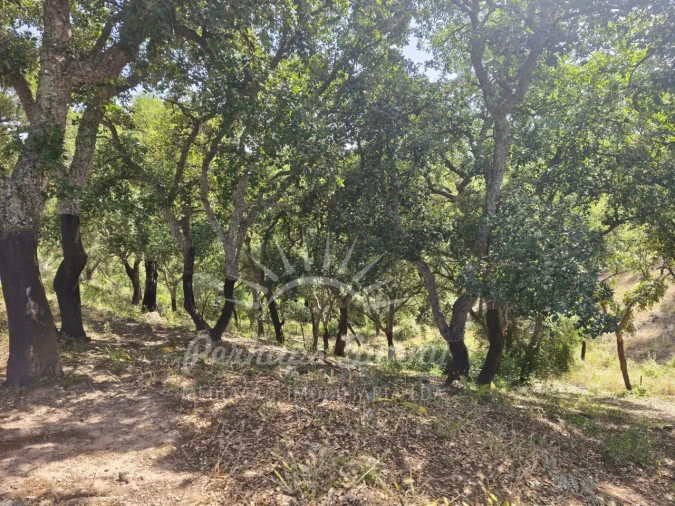 Terreno Misto para Venda em São Francisco da Serra Foto 4
