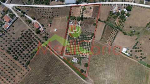 Moradia T5 para Venda em Cartaxo e Vale da Pinta