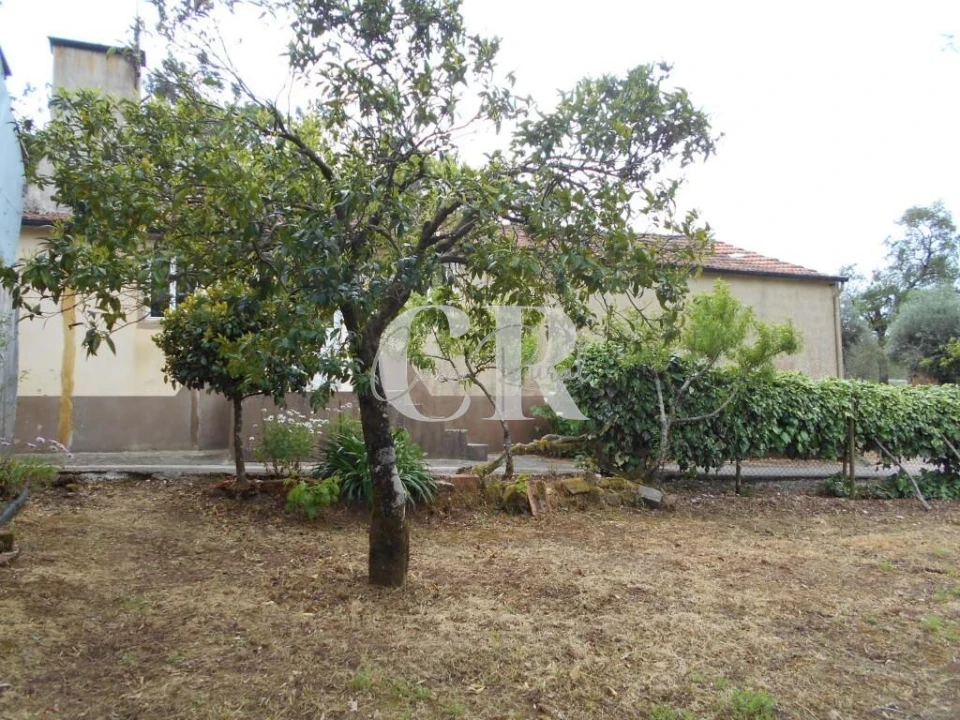 Moradia T2 para Venda em Chão de Couce Foto 57