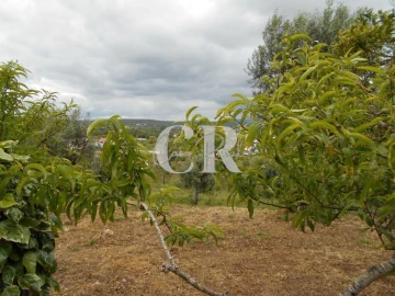 Moradia T2 para Venda em Chão de Couce