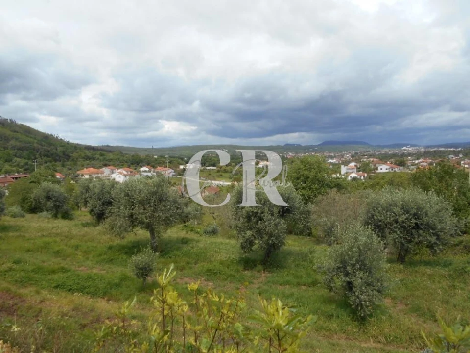 Moradia T2 para Venda em Chão de Couce Foto 55