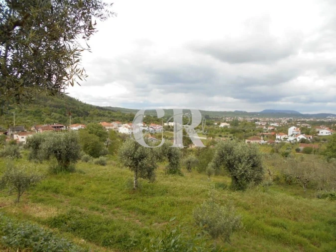 Moradia T2 para Venda em Chão de Couce Foto 62