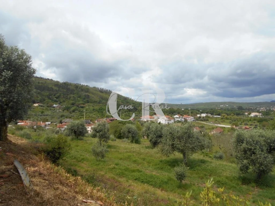 Moradia T2 para Venda em Chão de Couce Foto 53