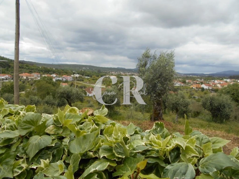 Moradia T2 para Venda em Chão de Couce Foto 59