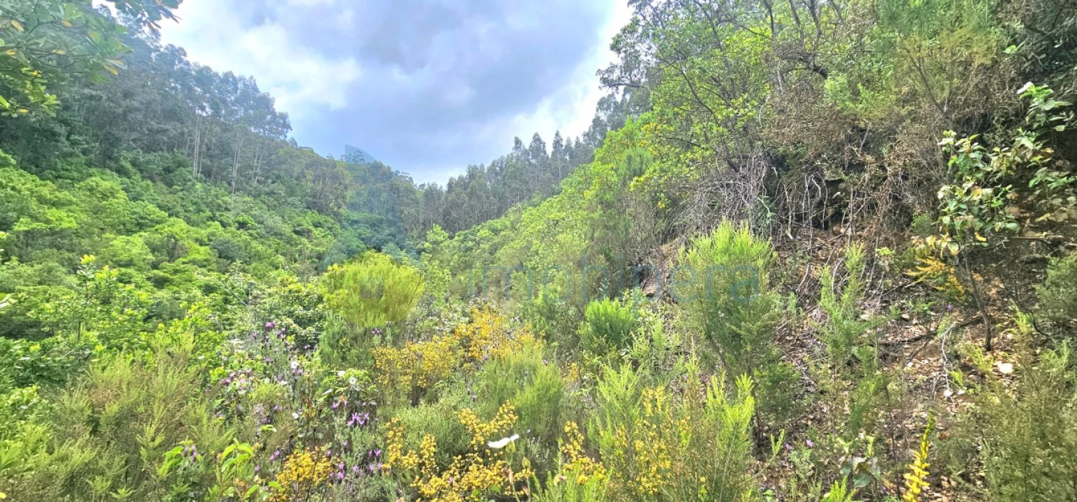 Terreno para Venda em Monchique Foto 4