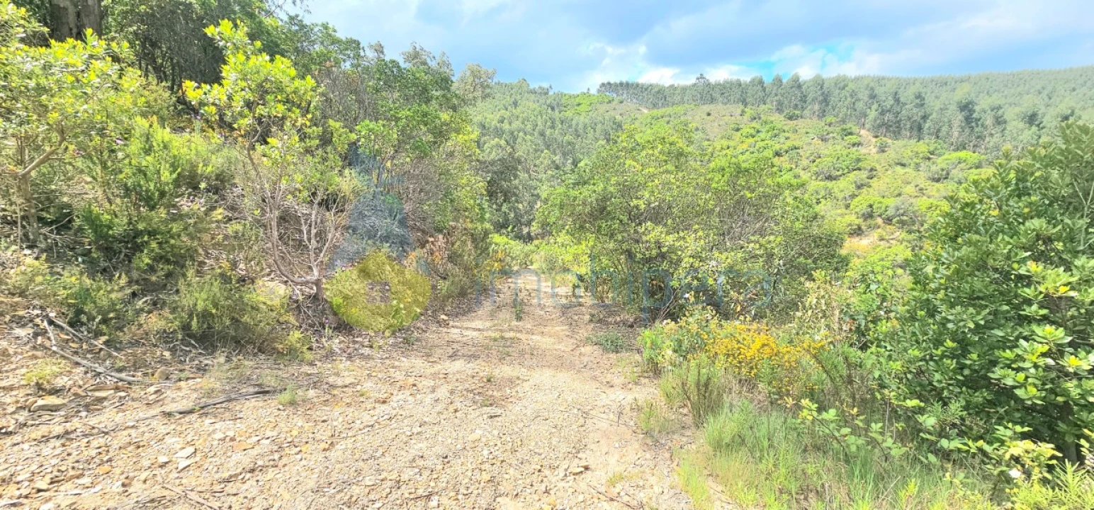Terreno para Venda em Monchique Foto 1