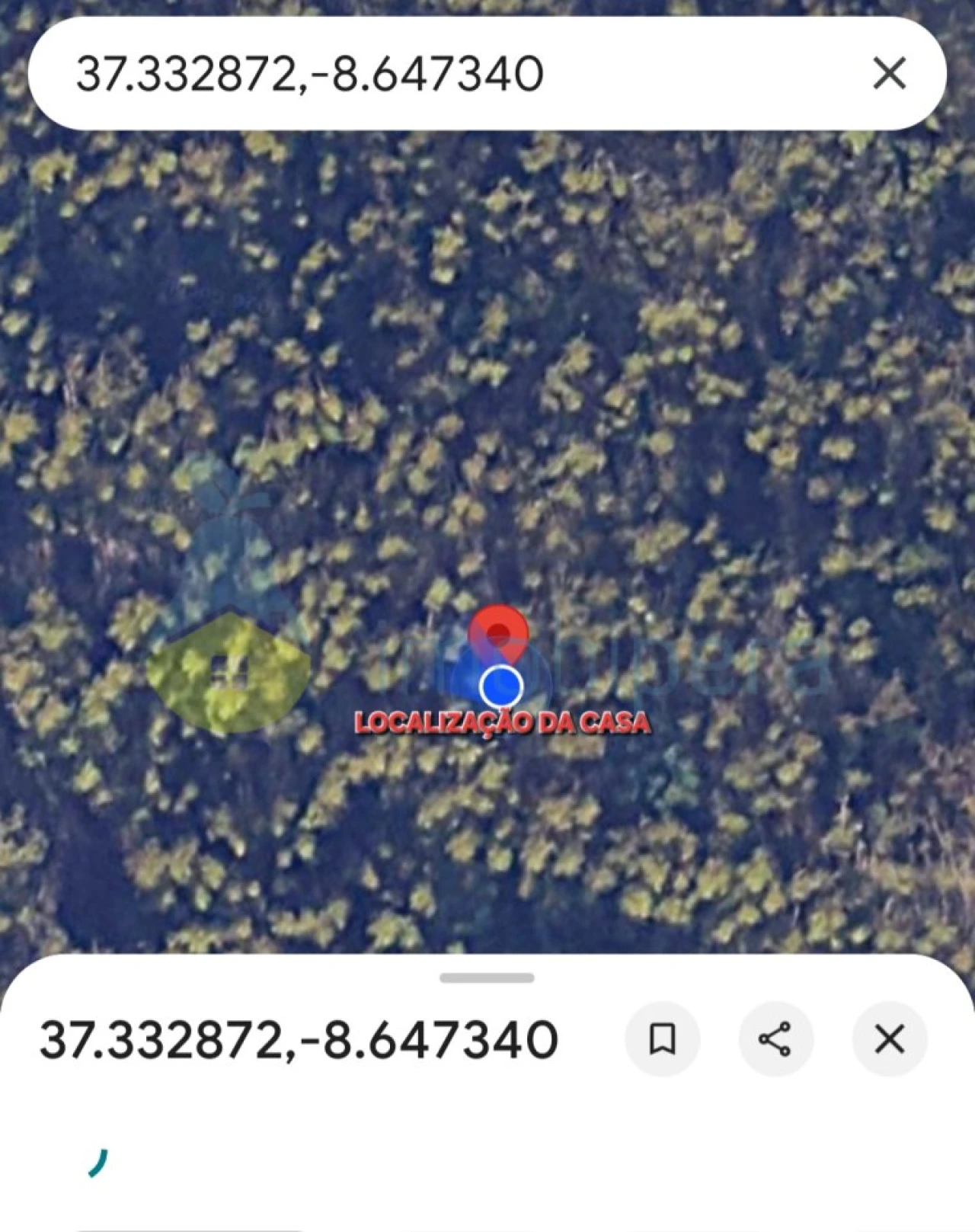 Terreno para Venda em Monchique Foto 13